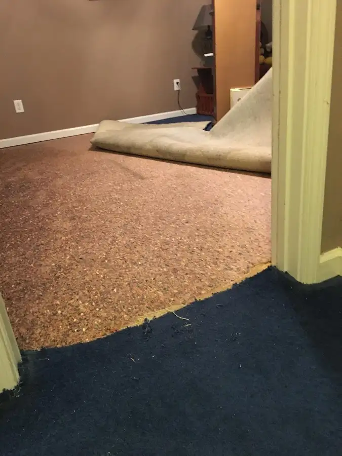 Carpet pad removal revealing water damage during Drying & Dehumidification in Opa-locka