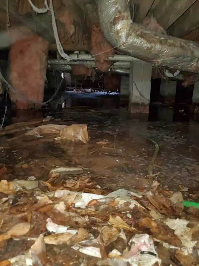 Crawl space flood assessment for Leak Detection & Repair in Opa-locka